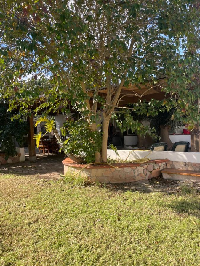 Roy House Villa Alghero Bagian luar foto